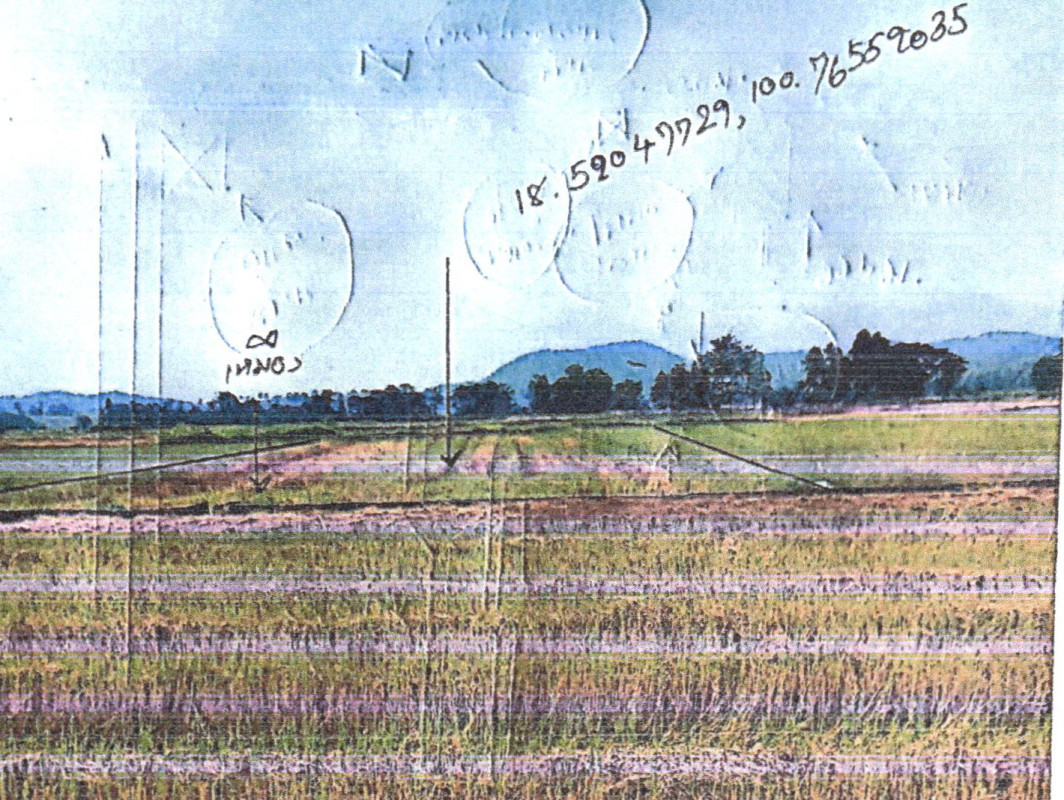 ที่ดินเปล่า น่าน เวียงสา ส้าน 70200