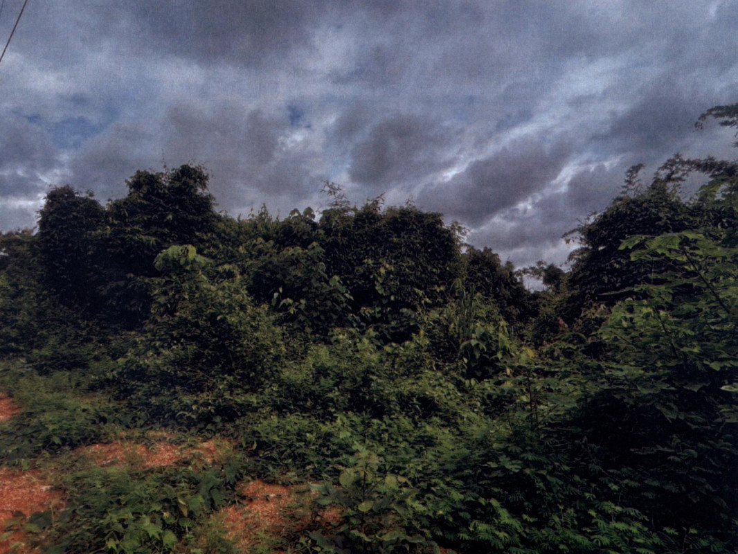 ที่ดินเปล่า แพร่ วังชิ้น แม่พุง 252340