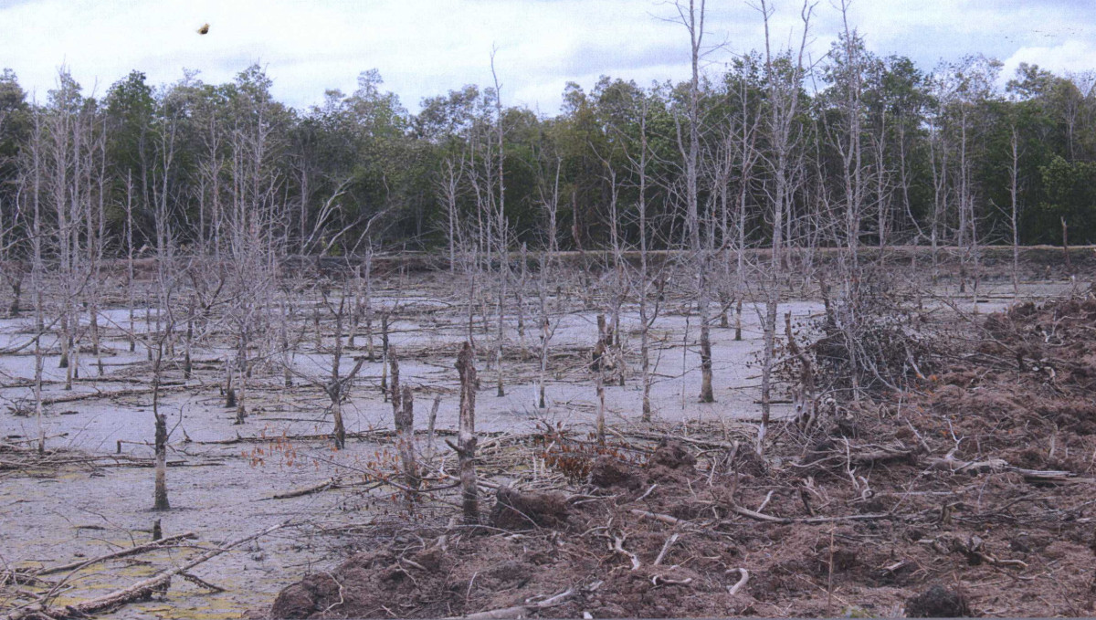 ที่ดินเปล่า สุราษฎร์ธานี กาญจนดิษฐ์ พลายวาส 129900