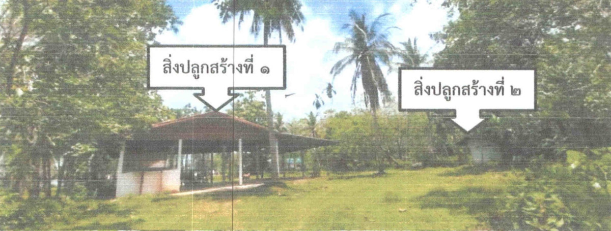 บ้านเดี่ยว พัทลุง บางแก้ว ท่ามะเดื่อ 1215538