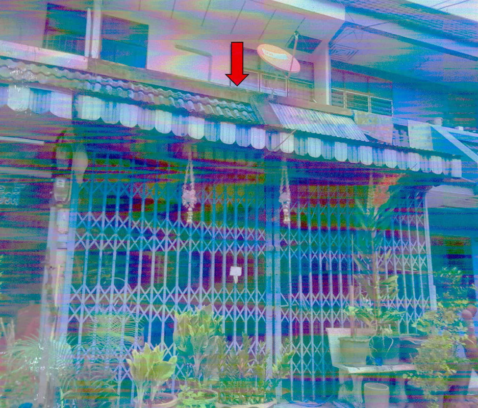 ทาวน์เฮ้าส์ สุราษฎร์ธานี เมืองสุราษฎร์ธานี มะขามเตี้ย 1452800