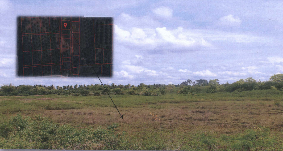 Residential land/lot Surat Thani Kanchanadit Kadae 53600