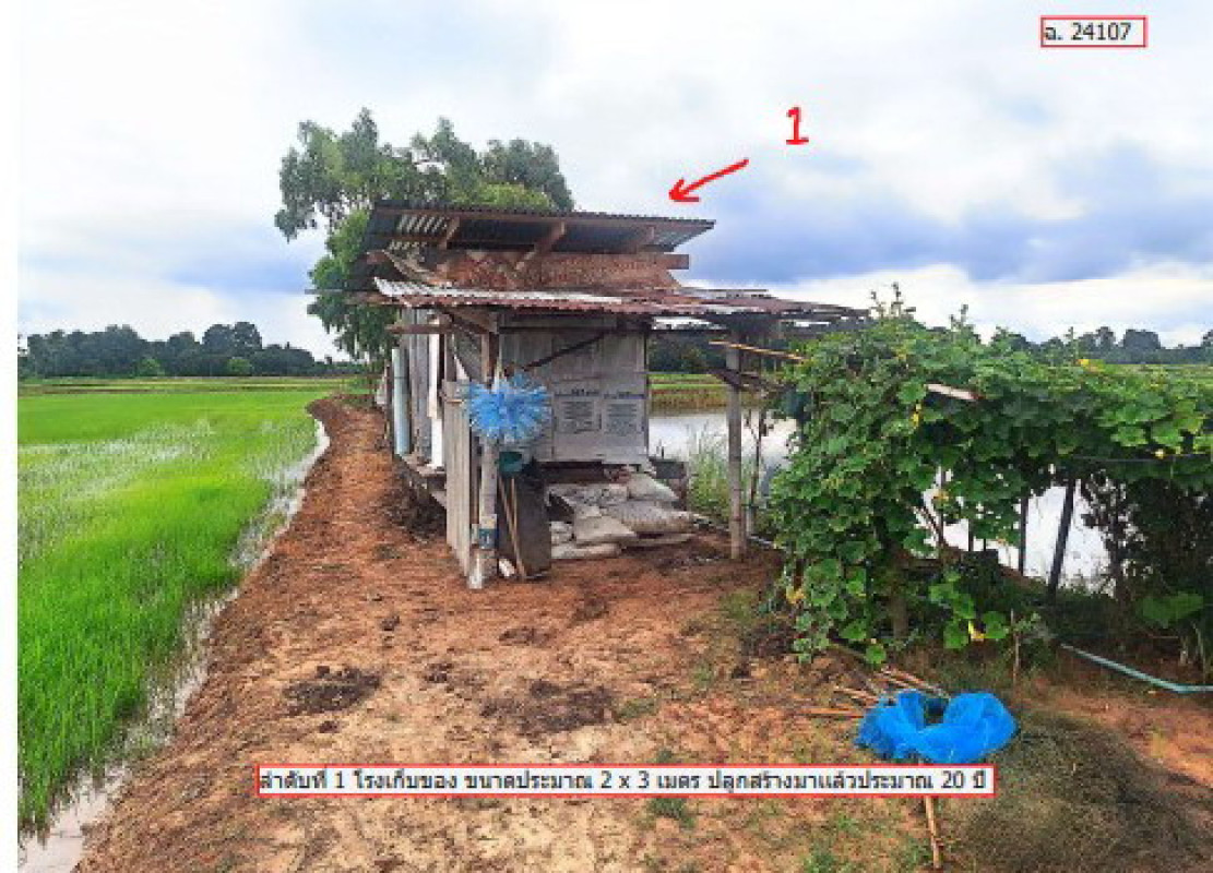 บ้านเดี่ยว พิษณุโลก บางกระทุ่ม วัดตายม 1263600