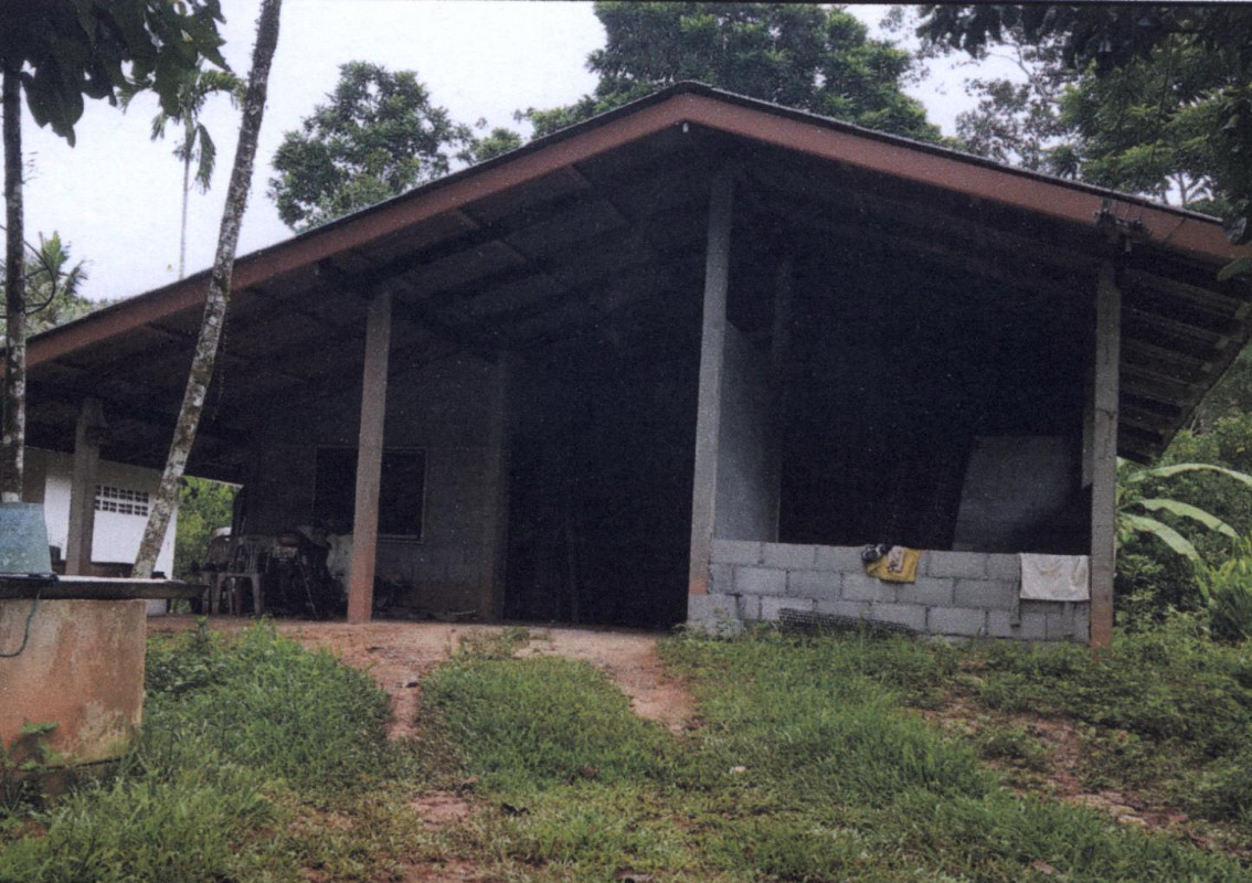 บ้านเดี่ยว พัทลุง ควนขนุน แพรกหา 346654