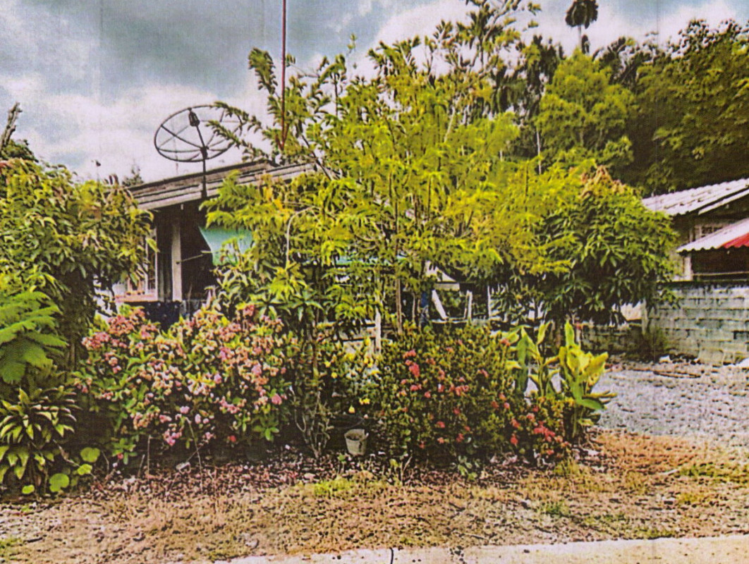 บ้านเดี่ยว สุราษฎร์ธานี กาญจนดิษฐ์ กรูด 539950