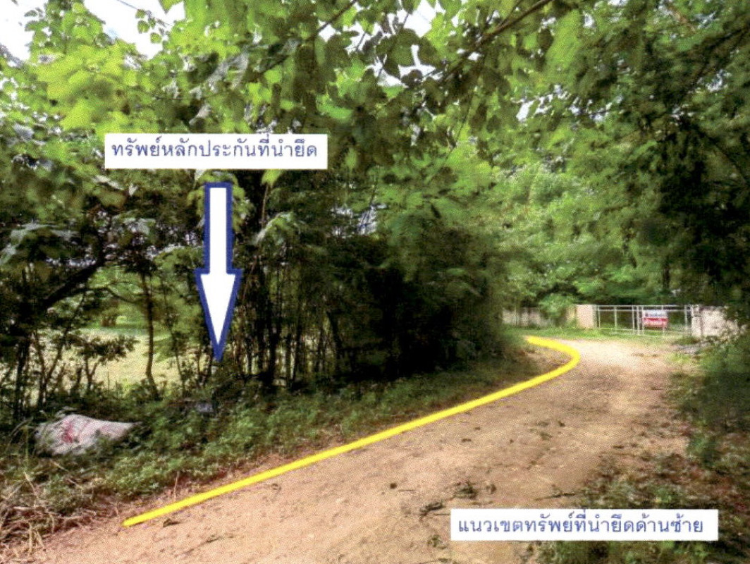 Residential land/lot Phrae Song Ban Nun 1236000