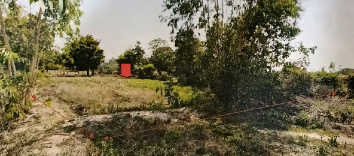 Residential land/lot Amnat Charoen Mueang Amnat Charoen Sang Nok Tha 18300