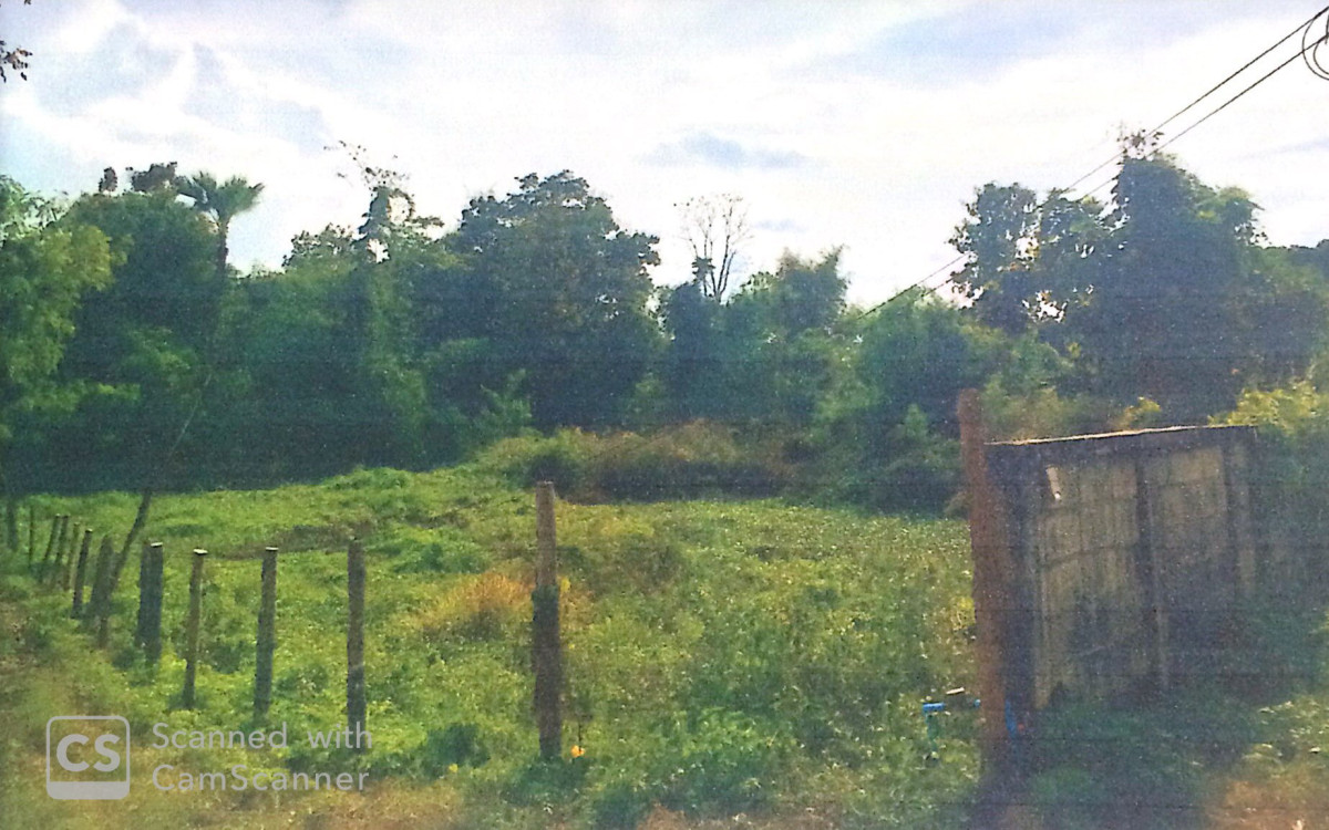 บ้านเดี่ยว ลำพูน เมืองลำพูน ศรีบัวบาน 217610