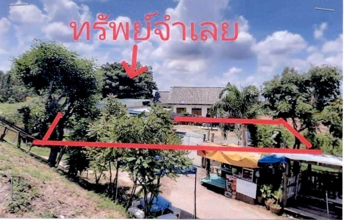 บ้านเดี่ยว พระนครศรีอยุธยา บางซ้าย บางซ้าย 1350000