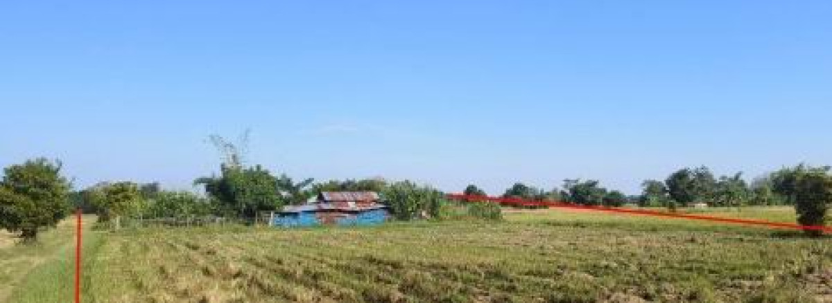 บ้านเดี่ยว นครราชสีมา ประทาย วังไม้แดง 169940