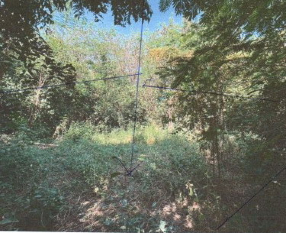 ที่ดินเปล่า พิษณุโลก เมืองพิษณุโลก ดอนทอง 391388