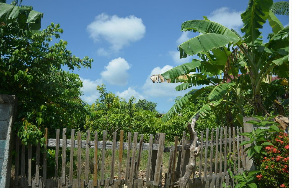 Residential land/lot Lamphun Ban Hong Ban Hong 39600