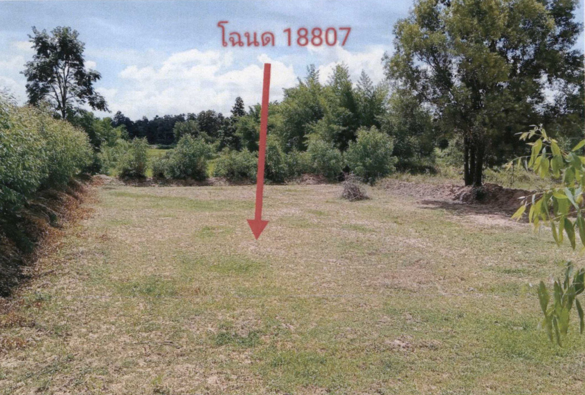 ที่ดินเปล่า มหาสารคาม นาเชือก หนองเม็ก 392360