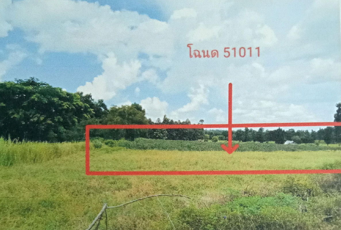 ที่ดินเปล่า มหาสารคาม บรบือ โนนแดง 448800