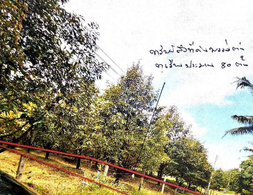 บ้านเดี่ยว ตราด เขาสมิง เทพนิมิต 589500