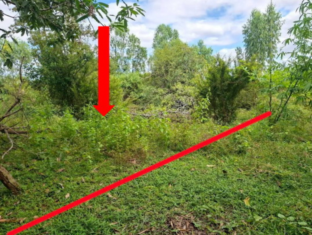 ที่ดินเปล่า ร้อยเอ็ด สุวรรณภูมิ ทุ่งศรีเมือง 100800