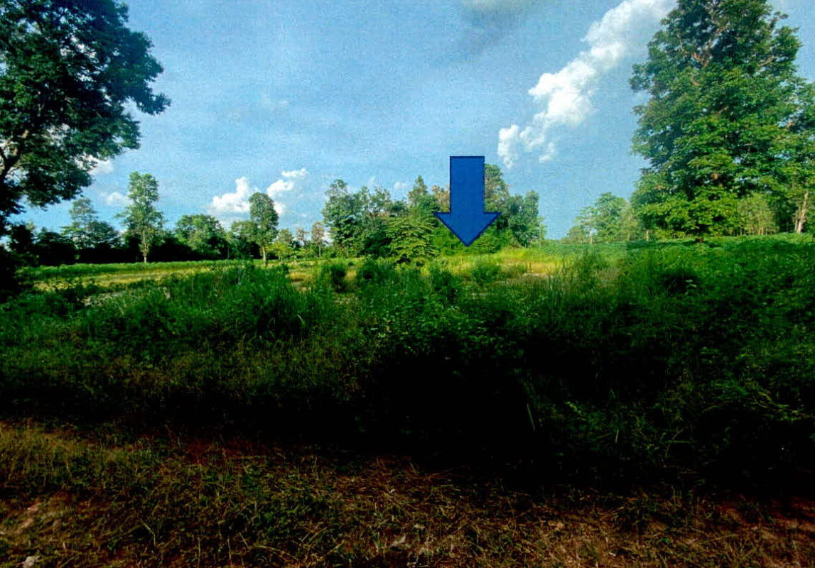 ที่ดินเปล่า อำนาจเจริญ ปทุมราชวงศา นาหว้า 467000