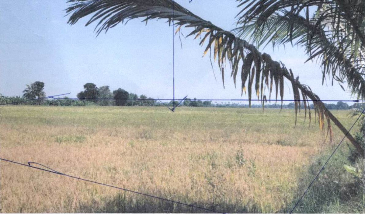 ที่ดินเปล่า นครราชสีมา ปักธงชัย งิ้ว 72800