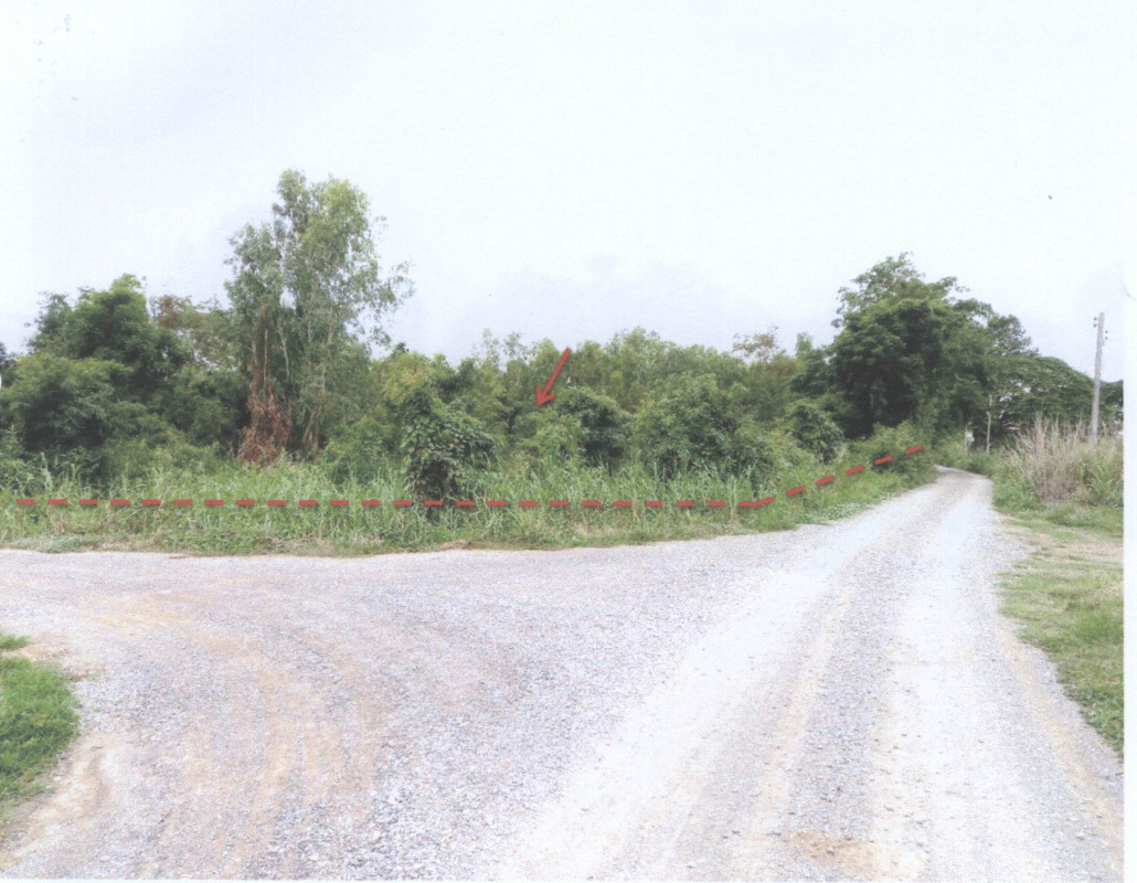 ที่ดินเปล่า พิจิตร โพทะเล ท่าขมิ้น 265230