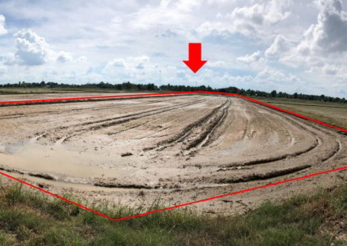 ที่ดินเปล่า พิษณุโลก วังทอง วังพิกุล 1263808