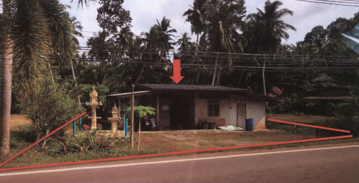 บ้านเดี่ยว ชุมพร สวี ด่านสวี 630000