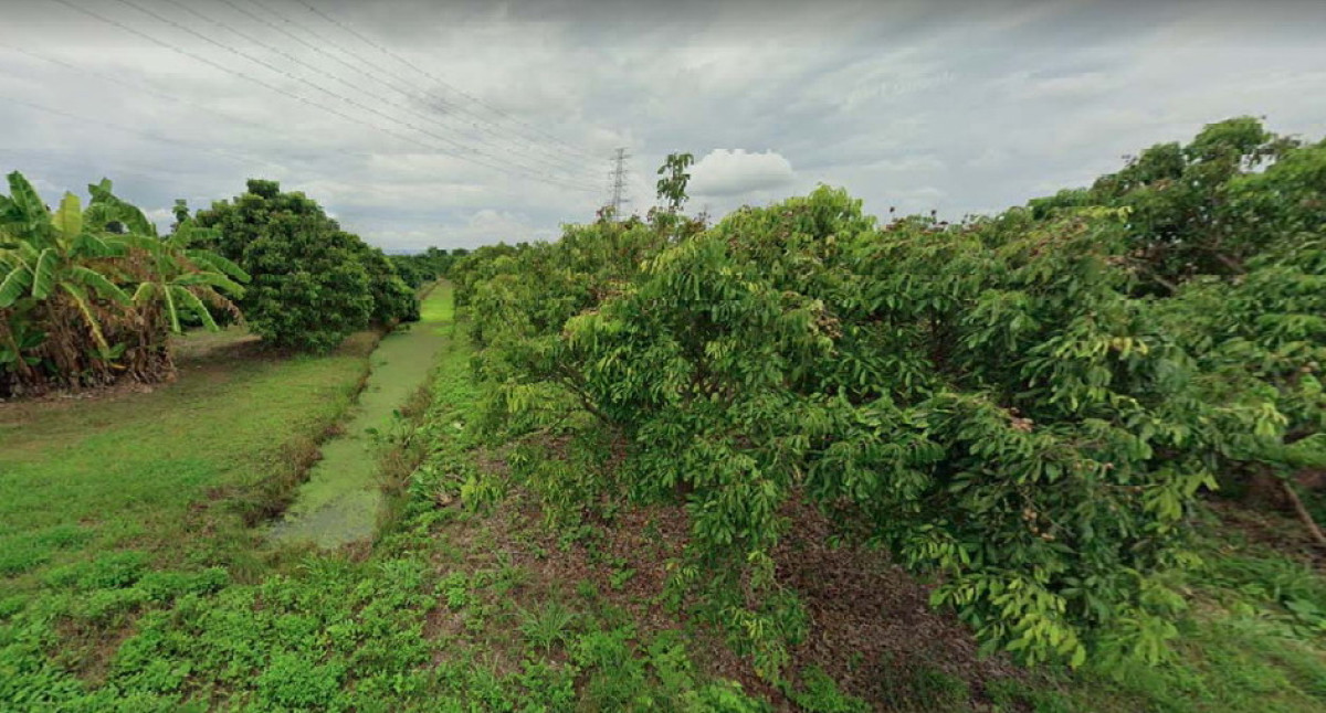 ที่ดินเปล่า ลำพูน เมืองลำพูน อุโมงค์ 715500