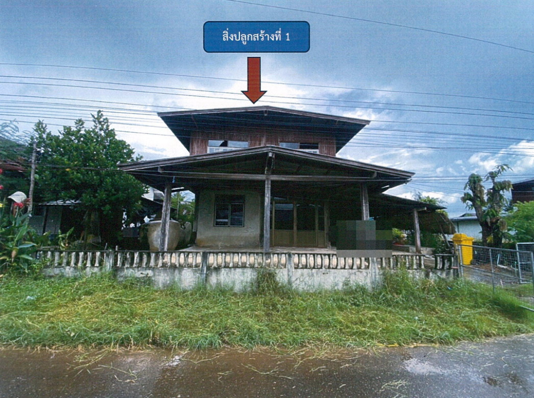 บ้านเดี่ยว อำนาจเจริญ ลืออำนาจ ดงมะยาง 317400