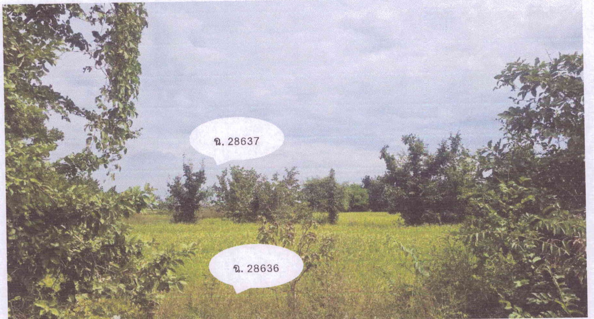 ที่ดินเปล่า ลพบุรี พัฒนานิคม โคกสลุง 5771580