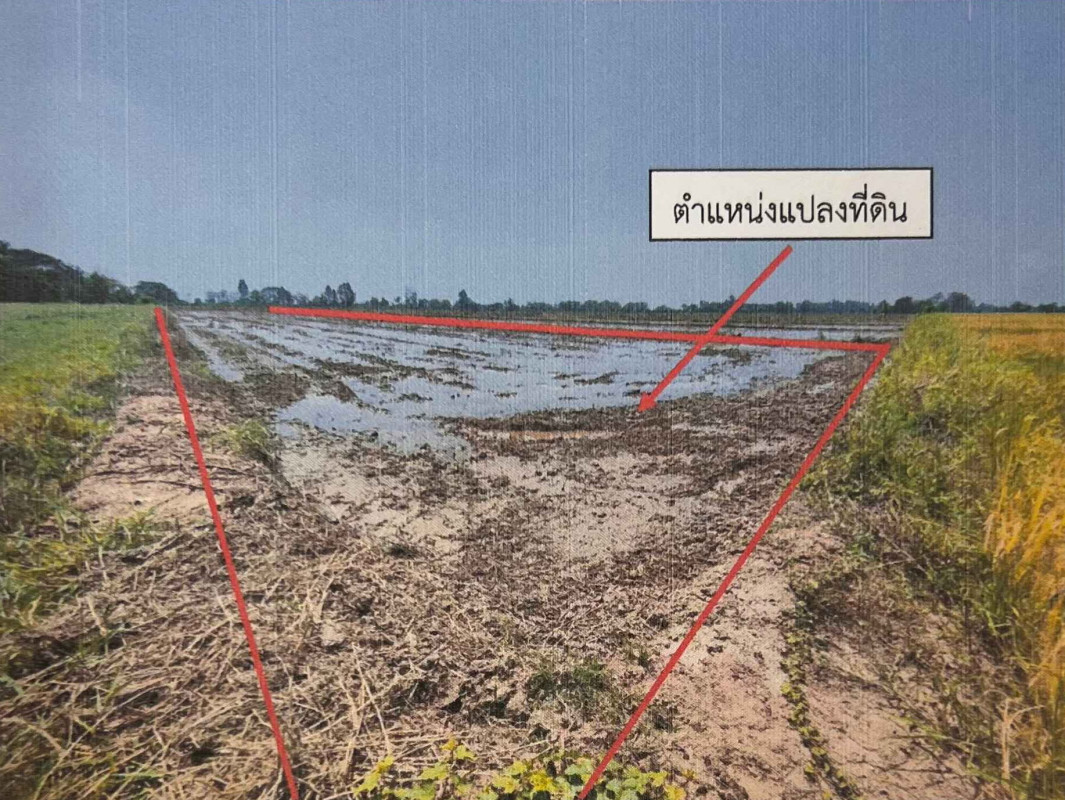 ที่ดินเปล่า สุโขทัย สวรรคโลก นาทุ่ง 146700