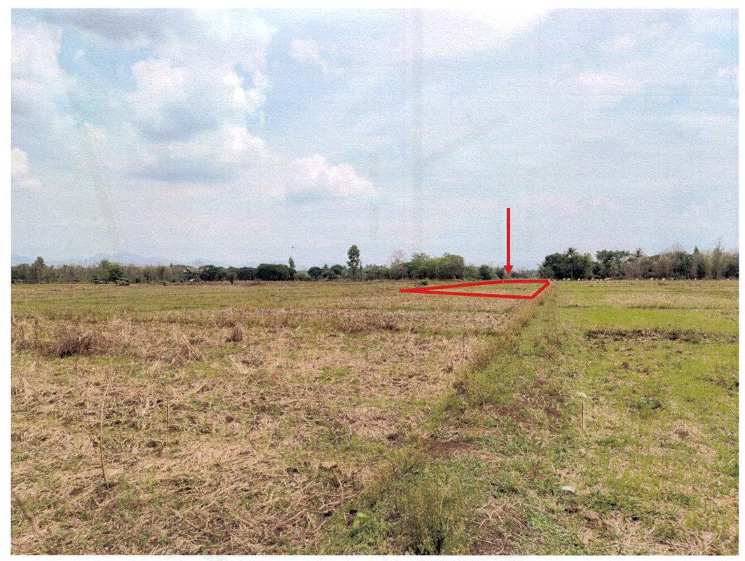 ที่ดินเปล่า ลำปาง แม่ทะ หัวเสือ 902700