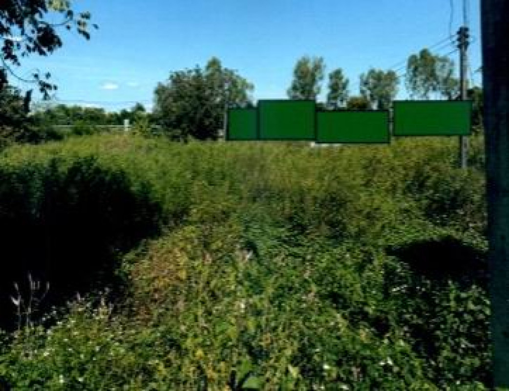 ที่ดินเปล่า ลำพูน เมืองลำพูน ต้นธง 661200