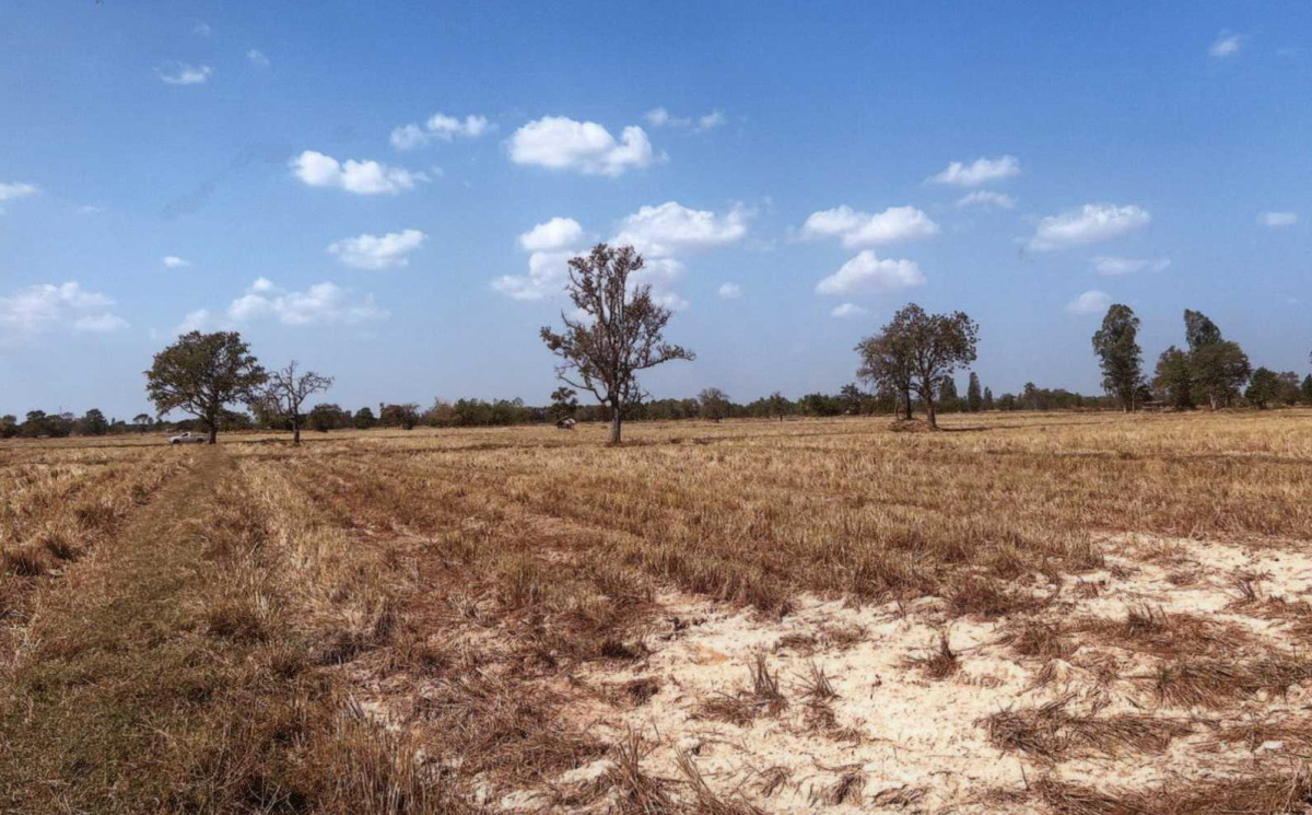 ที่ดินเปล่า มหาสารคาม กันทรวิชัย คันธารราษฎร์ 156000