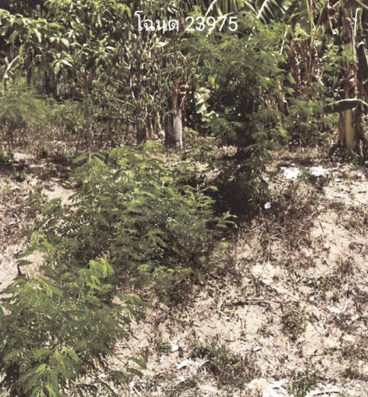 ที่ดินเปล่า พังงา ตะกั่วทุ่ง หล่อยูง 130750