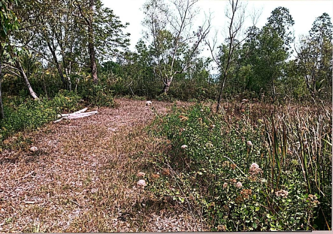 ที่ดินเปล่า ลำปาง   455760