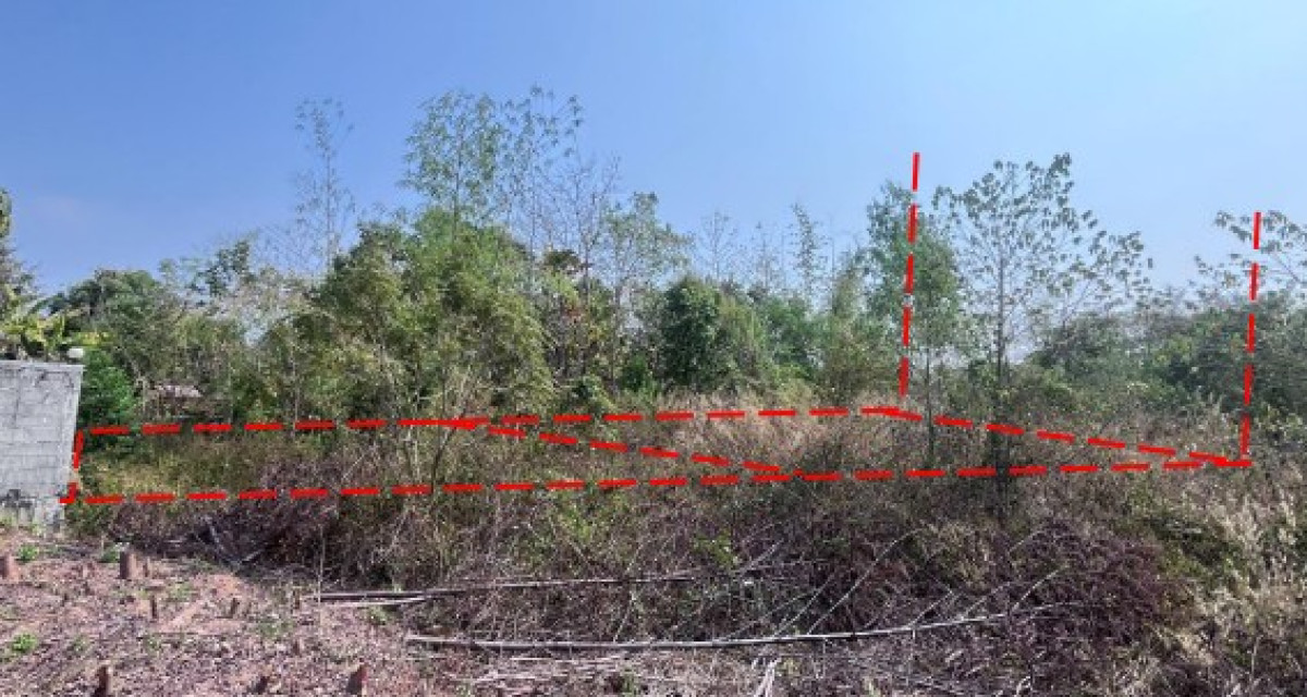Residential land/lot Udon Thani Phen Phen 160000