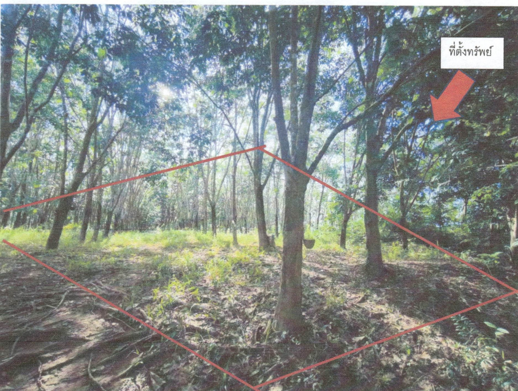 ที่ดินเปล่า เลย วังสะพุง ทรายขาว 62295