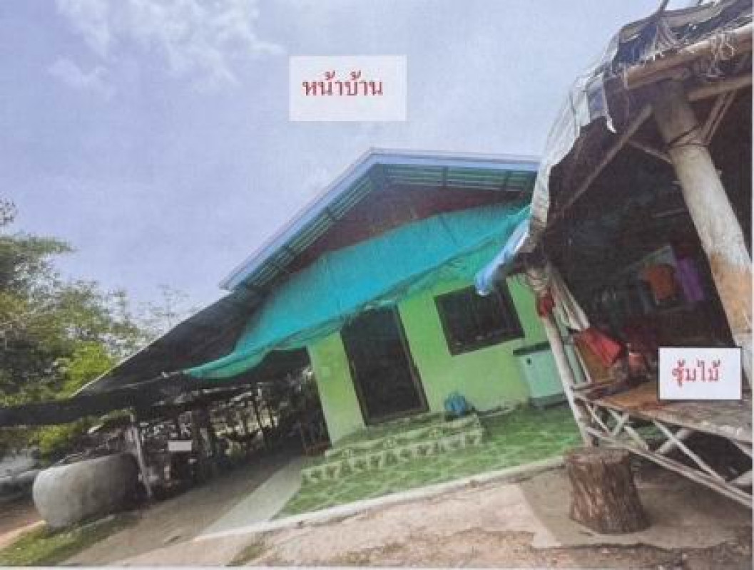 บ้านเดี่ยว บุรีรัมย์ เมืองบุรีรัมย์ สองห้อง 279400