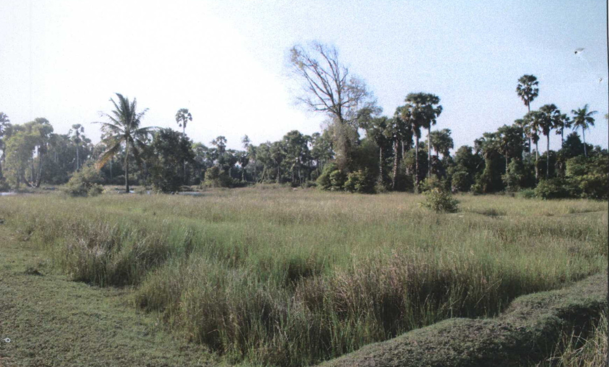 ที่ดินเปล่า ปัตตานี เมืองปัตตานี บานา 865704