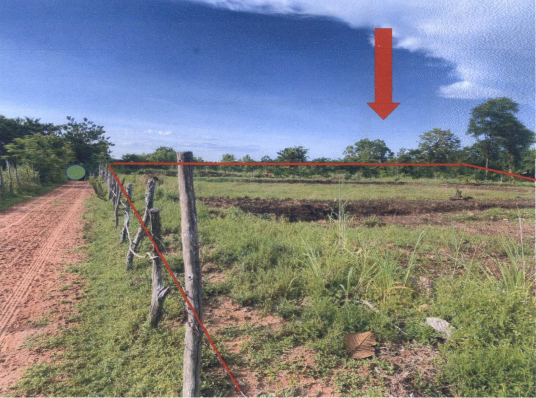 ที่ดินเปล่า สุรินทร์ ท่าตูม ท่าตูม 964200