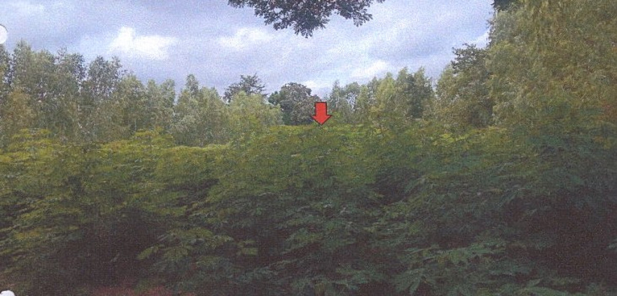 ที่ดินเปล่า ร้อยเอ็ด เสลภูมิ ภูเงิน 266500