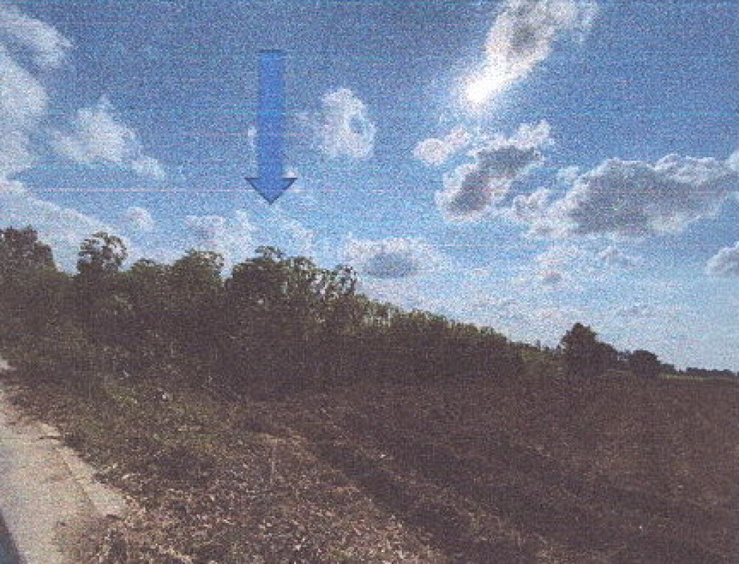 ที่ดินเปล่า สุโขทัย คีรีมาศ สามพวง 174577