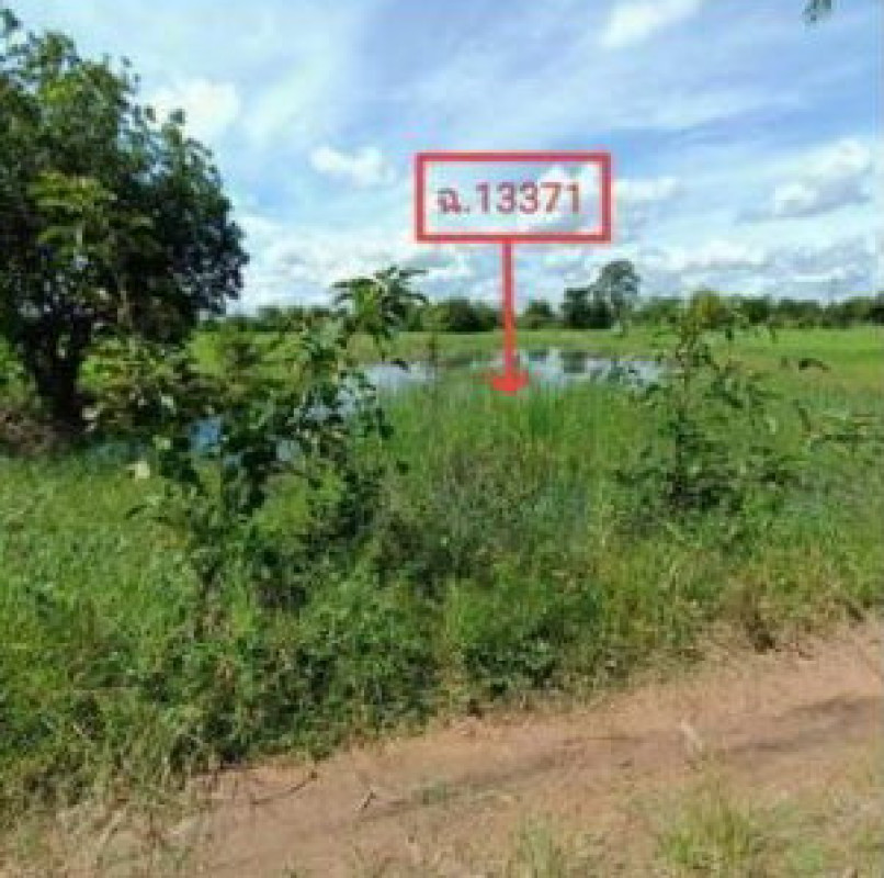 ที่ดินเปล่า ร้อยเอ็ด ศรีสมเด็จ เมืองเปลือย 245280