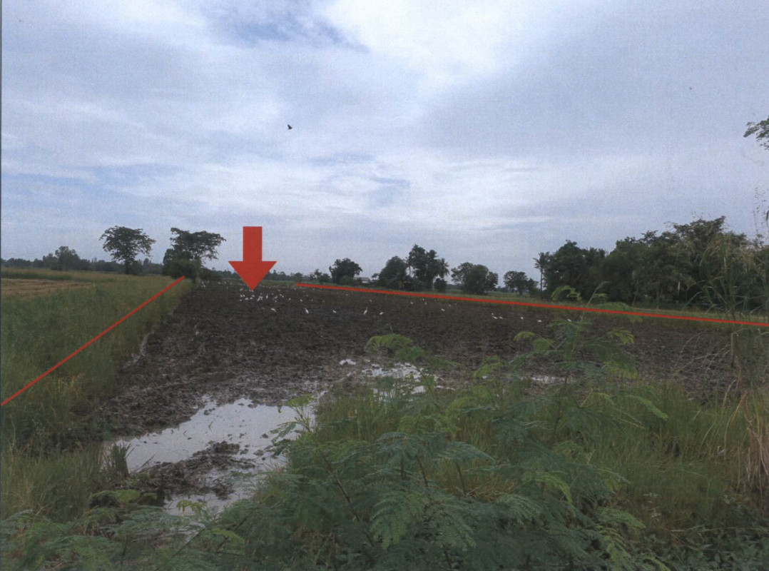 ที่ดินเปล่า พิจิตร บางมูลนาก วังสำโรง 520000