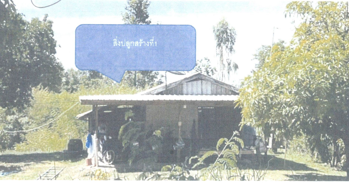 บ้านเดี่ยว พิษณุโลก พรหมพิราม ดงประคำ 423598