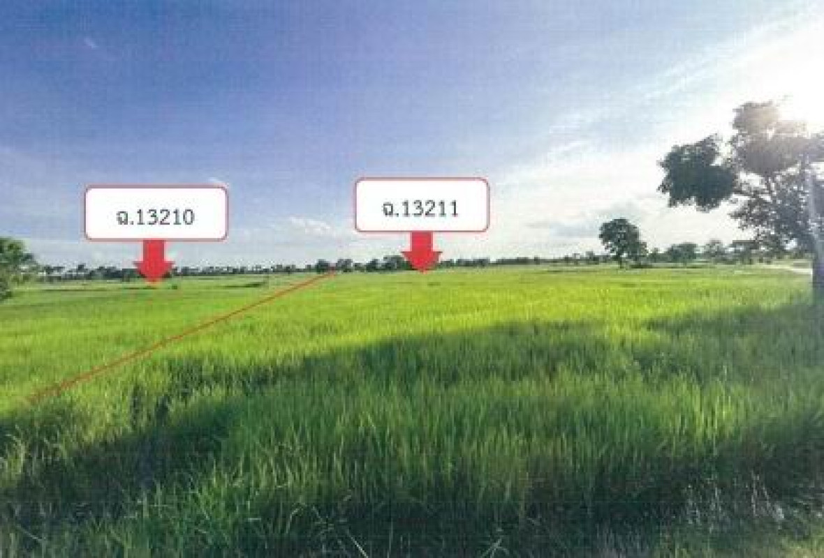 ที่ดินเปล่า นครราชสีมา สีดา โนนประดู่ 325800