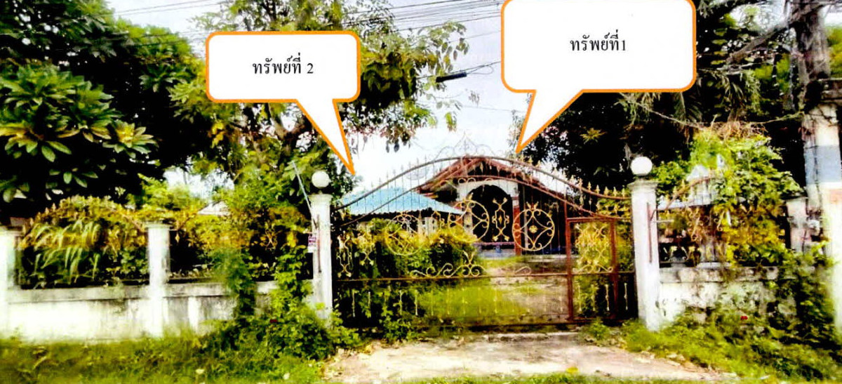 บ้านเดี่ยว สุรินทร์ เขวาสินรินทร์ ปราสาททอง 1199840