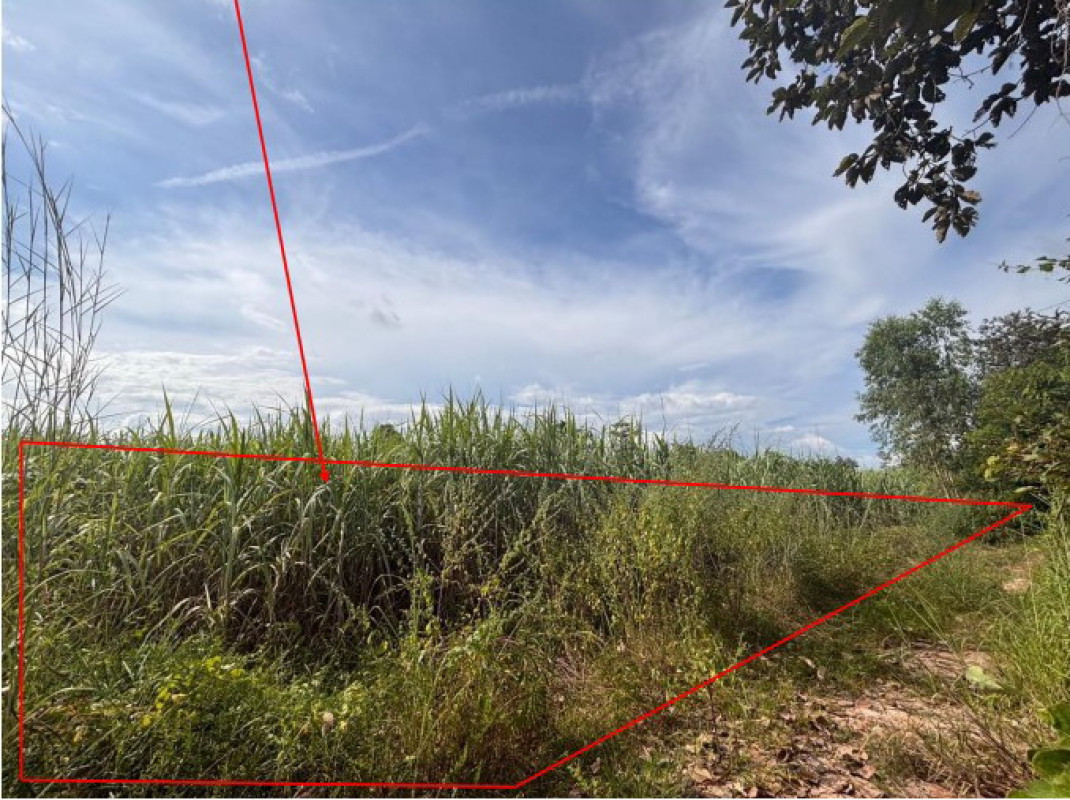 ที่ดินเปล่า ร้อยเอ็ด เสลภูมิ ท่าม่วง 25220