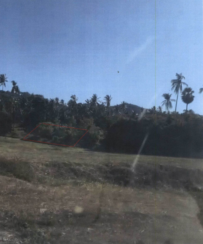 ที่ดินเปล่า สุราษฎร์ธานี เกาะสมุย แม่น้ำ 695400