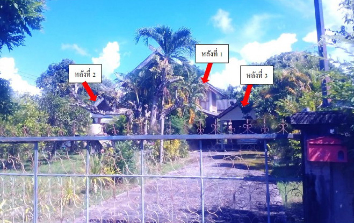 บ้านเดี่ยว พะเยา เชียงคำ เชียงบาน 1041980