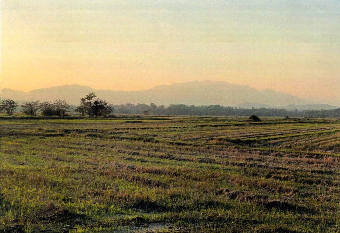 ที่ดินเปล่า ลำปาง เถิน นาโป่ง 163410